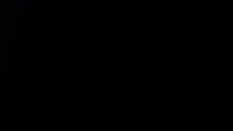 Alice Asylum online show from November 2, 12:13 am