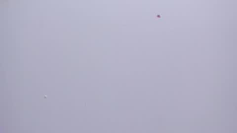 malory__jones online show from January 16, 6:34 pm