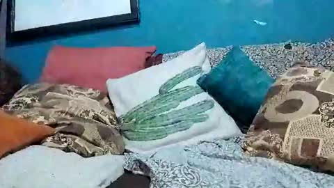 mandrilo7379 online show from June 22, 6:32 am