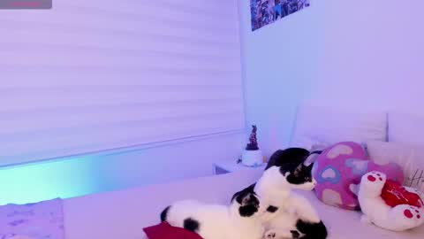   online show from February 2, 10:08 pm