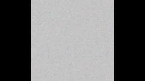 mantismillie online show from October 12, 1:43 pm