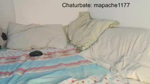 Snapshot of mapache1177 chatting on May 21, 6:59 pm mapache1177 online show from May 21, 6:59 pm