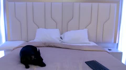 Snapshot of mara_sex chatting on June 11, 11:08 am pao online show from June 11, 11:08 am
