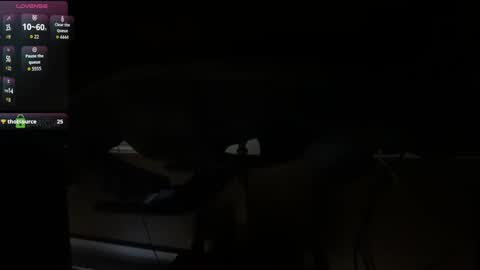 Marco Polo online show from October 7, 8:39 pm