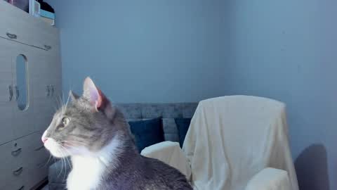    online show from March 8, 2:45 am