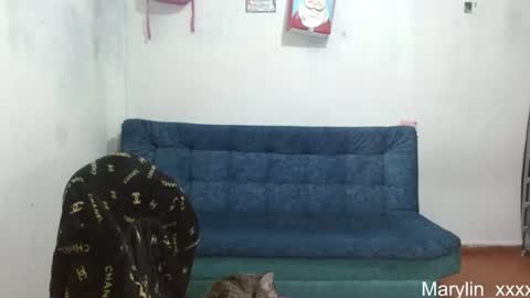  Marilyn  online show from June 18, 12:33 am