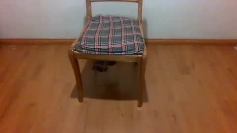 Maripaula369 online show from February 22, 3:23 am