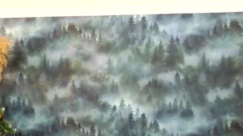 Snapshot of markshot_ chatting on December 14, 10:58 pm markshot_ online show from December 14, 10:58 pm