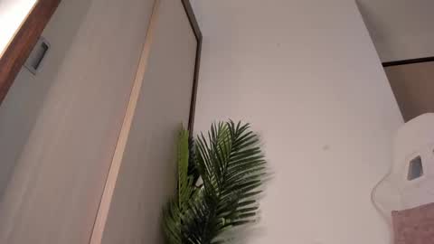 markus... Y online show from December 13, 12:42 am