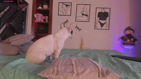 Mar online show from January 3, 4:11 am