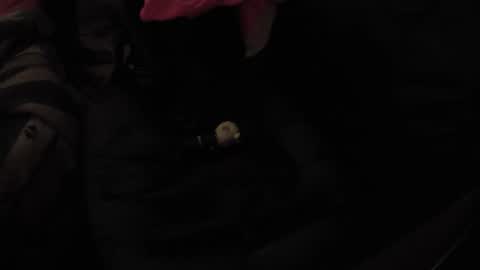 martamoontrans online show from November 17, 10:32 am