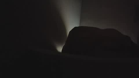 martamoontrans online show from February 3, 6:40 am