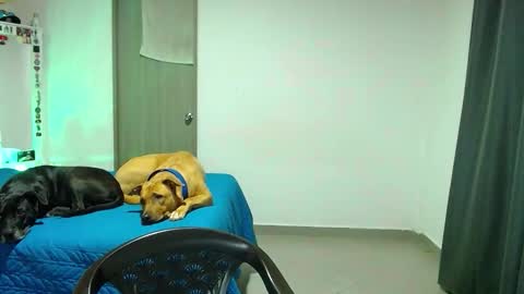 mary online show from October 31, 2:12 am