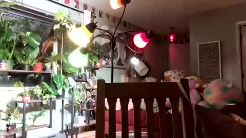 babybrown572 online show from February 13, 6:20 am