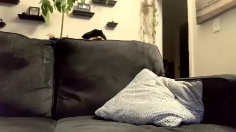 masturbationsession69 online show from January 8, 6:37 am