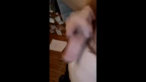 masturbator469658 online show from March 22, 1:36 pm