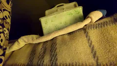 Snapshot of mattshadows667 chatting on January 20, 2:22 am mattshadows667 online show from January 20, 2:22 am