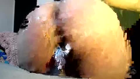 cata online show from December 6, 5:31 am