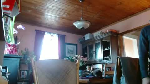 Maurice online show from January 22, 2:14 pm