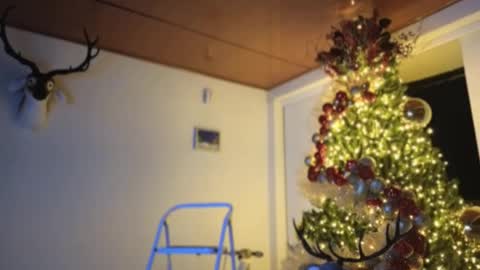 Sebastian online show from December 3, 11:57 pm