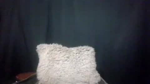 Snapshot of maximus_oreally chatting on January 4, 3:40 am Max online show from January 4, 3:40 am