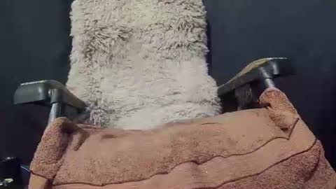 Snapshot of maximus_oreally chatting on January 8, 9:34 pm Max online show from January 8, 9:34 pm