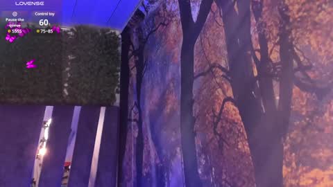 Maya online show from December 24, 10:55 am