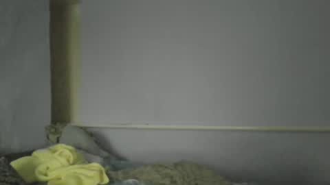 Oltereodora-lima online show from December 30, 1:14 pm