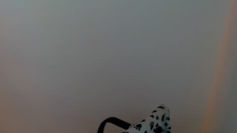 Meg4n Miauuuu online show from July 29, 3:43 pm