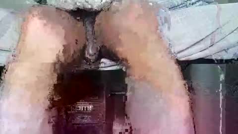 megaguebo online show from February 11, 9:42 pm