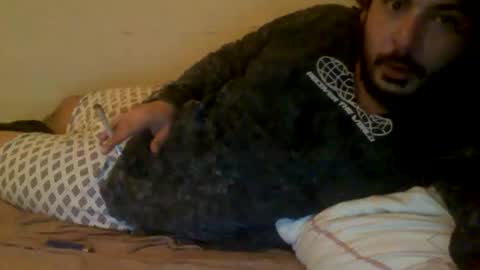 megamanp online show from January 28, 2:53 am