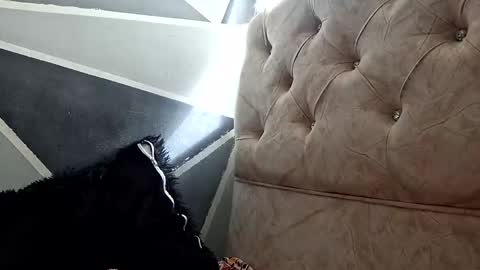 Megan and sophi online show from October 20, 1:33 pm