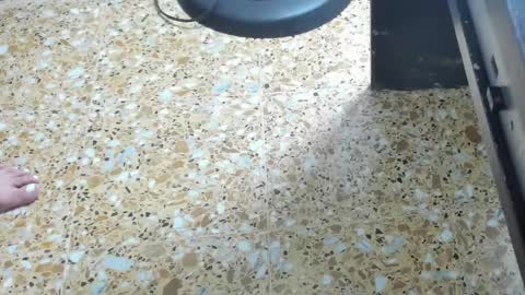 Megan online show from February 1, 6:00 am