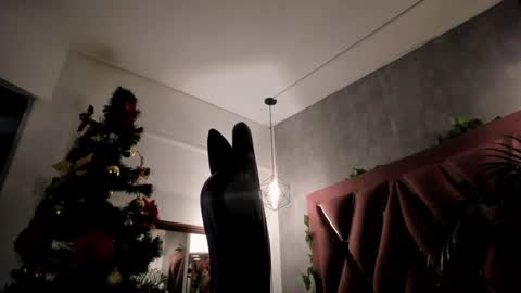    online show from December 8, 3:53 am