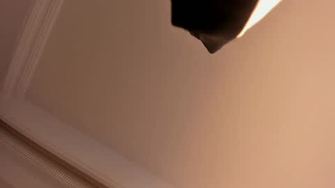     online show from February 1, 5:58 pm