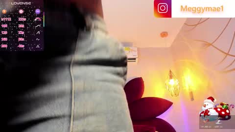 Snapshot of meggy_mae chatting on November 26, 12:06 pm MEGGY MAE online show from November 26, 12:06 pm