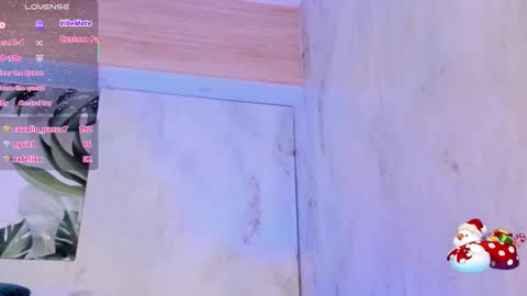 Snapshot of meggy_mae chatting on December 5, 2:14 pm MEGGY MAE online show from December 5, 2:14 pm