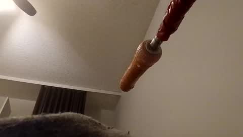 Snapshot of meheriuk68 chatting on December 17, 12:16 am meheriuk68 online show from December 17, 12:16 am