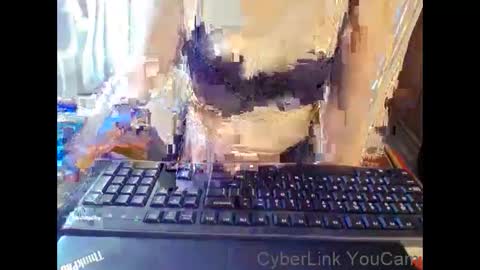 meimei_888 online show from January 17, 2:11 pm