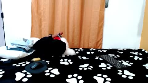 MEIS online show from March 14, 1:44 am