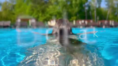 Adel online show from December 12, 3:27 pm