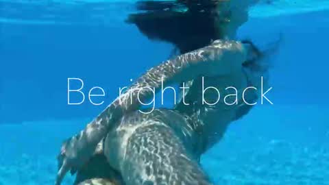 Adel online show from September 15, 2:50 pm