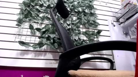 Snapshot of melishanton chatting on May 16, 4:28 pm melishanton online show from May 16, 4:28 pm