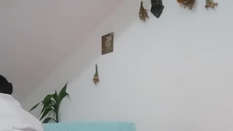 melissa online show from November 1, 10:17 am