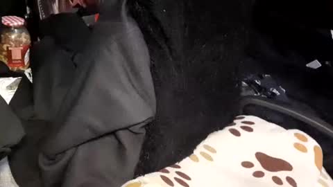 Snapshot of menyy666 chatting on January 24, 4:16 am Giorggio Fragacci online show from January 24, 4:16 am