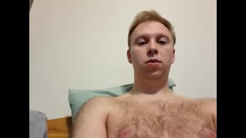 Snapshot of meow732 chatting on November 1, 7:05 pm meow732 online show from November 1, 7:05 pm