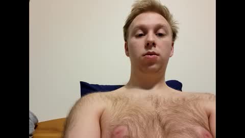 Snapshot of meow732 chatting on December 4, 3:38 am meow732 online show from December 4, 3:38 am