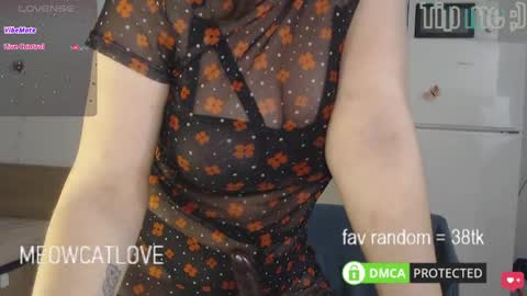 meowcatlove online show from March 4, 7:43 pm