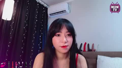 meowkami online show from September 25, 12:47 am