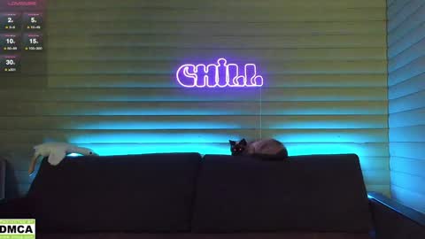 Snapshot of meowluv chatting on January 6, 5:08 am  NIKKY  STIVE     Every day from 1000  to 200  EST time. online show from January 6, 5:08 am